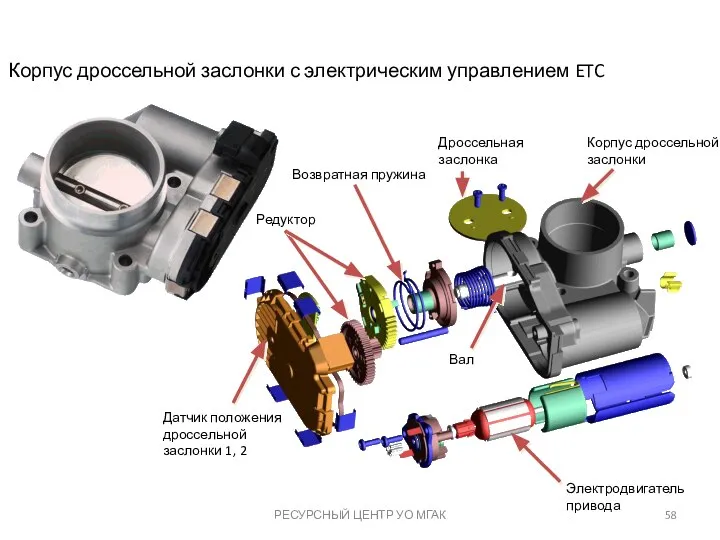 РЕСУРСНЫЙ ЦЕНТР УО МГАК Корпус дроссельной заслонки Редуктор Электродвигатель привода Датчик положения