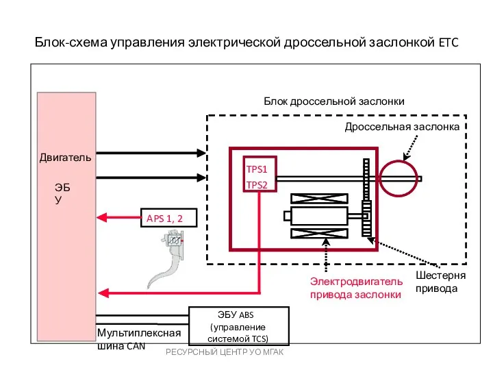 РЕСУРСНЫЙ ЦЕНТР УО МГАК TPS1 TPS2 APS 1, 2 ЭБУ ABS Электродвигатель