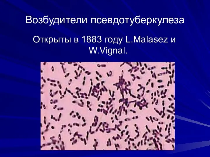 Возбудители псевдотуберкулеза Открыты в 1883 году L.Malasez и W.Vignal.