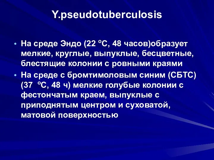 Y.pseudotuberculosis На среде Эндо (22 оС, 48 часов)образует мелкие, круглые, выпуклые, бесцветные,