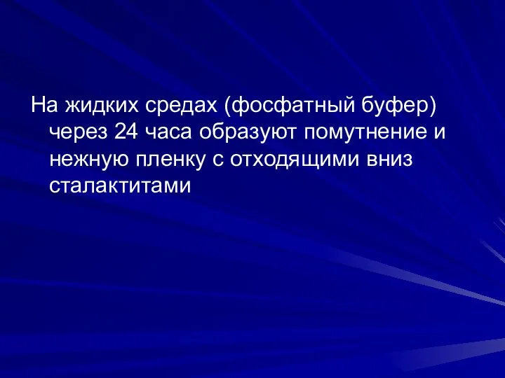 На жидких средах (фосфатный буфер) через 24 часа образуют помутнение и нежную