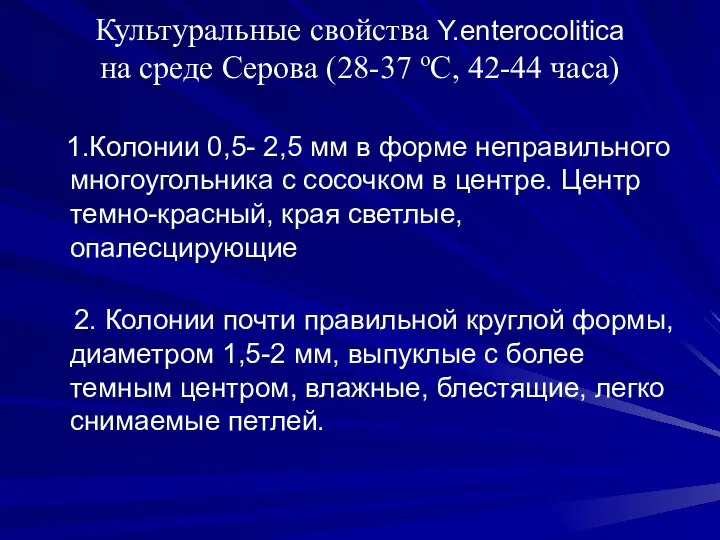 Культуральные свойства Y.enterocolitica на среде Серова (28-37 оС, 42-44 часа) 1.Колонии 0,5-