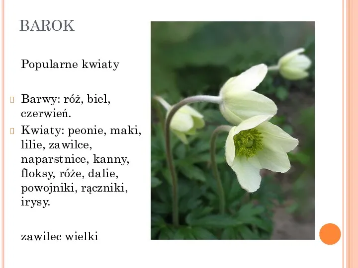 BAROK Popularne kwiaty Barwy: róż, biel, czerwień. Kwiaty: peonie, maki, lilie, zawilce,