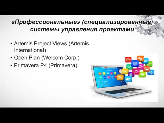 «Профессиональные» (специализированные) системы управления проектами Artemis Project Views (Artemis International) Open Plan