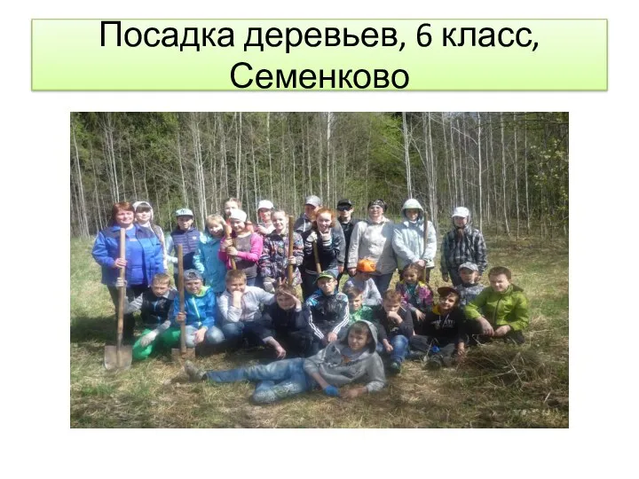 Посадка деревьев, 6 класс, Семенково