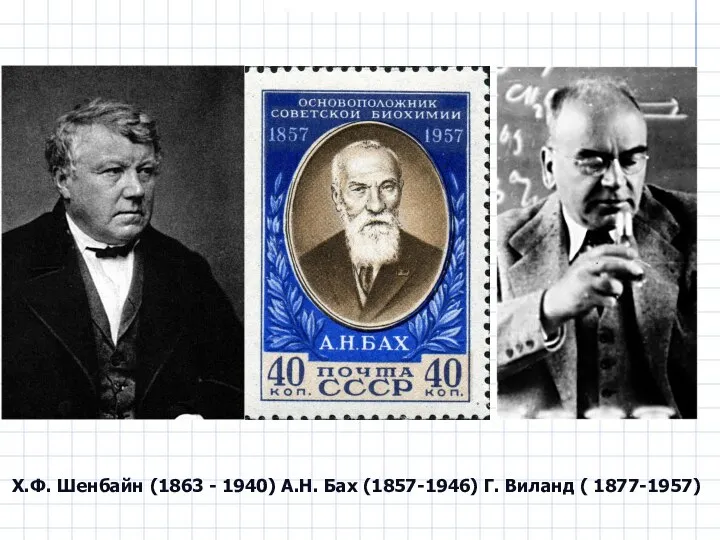 Х.Ф. Шенбайн (1863 - 1940) А.Н. Бах (1857-1946) Г. Виланд ( 1877-1957)