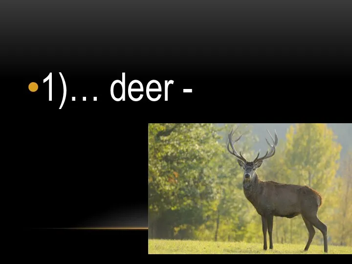 1)… deer -