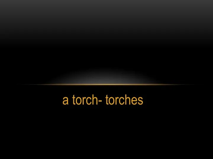 a torch- torches