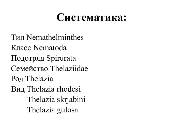 Систематика: Тип Nemathelminthes Класс Nematoda Подотряд Spirurata Семейство Thelaziidae Род Thelazia Вид