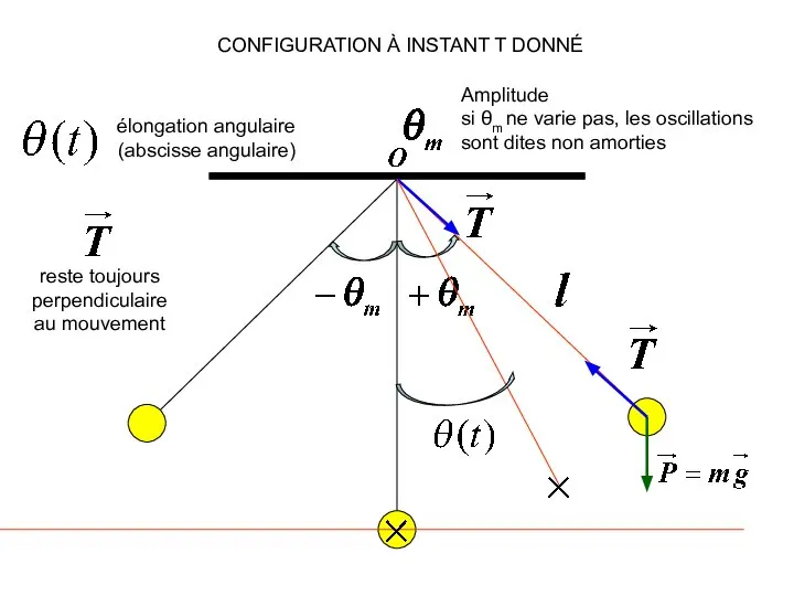 élongation angulaire (abscisse angulaire) Amplitude si θm ne varie pas, les oscillations