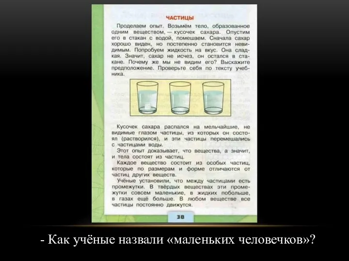 - Как учёные назвали «маленьких человечков»?