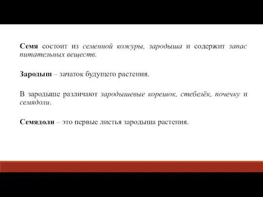 Семя состоит из семенной кожуры, зародыша и содержит запас питательных веществ. Зародыш