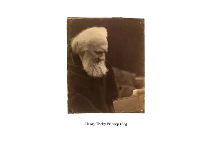 Henry Thoby Prinsep 1865