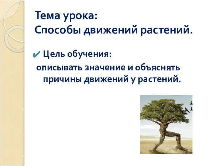 Тема урока: Способы движений растений. Цель обучения: описывать значение и объяснять причины движений у растений.