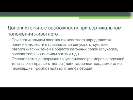 Дополнительные возможности при вертикальном положении животного При вертикальном положении животного определяется наличие