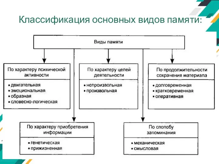 Классификация основных видов памяти: