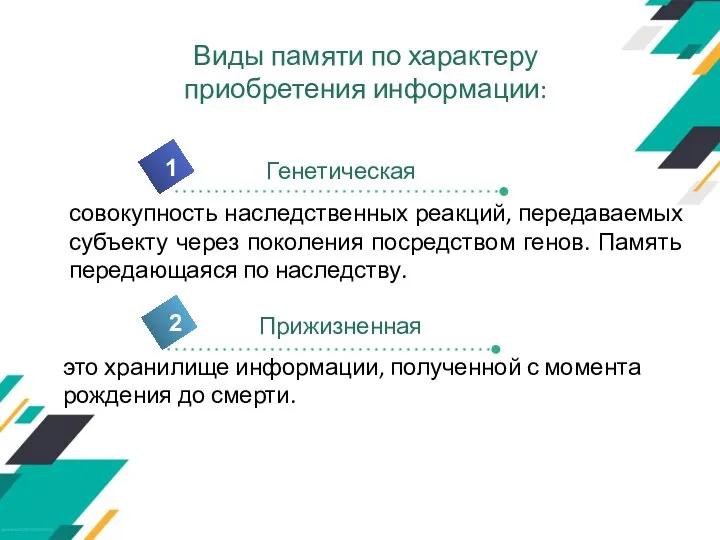 2 Генетическая 1 это хранилище информации, полученной с момента рождения до смерти.