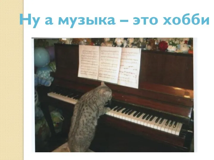 Ну а музыка – это хобби