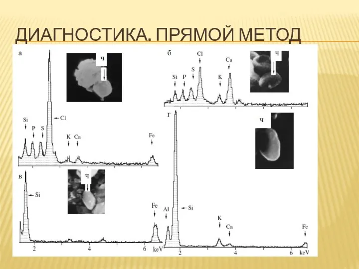 ДИАГНОСТИКА. ПРЯМОЙ МЕТОД Микроскопия Анализ содержания P, S. Ca, K