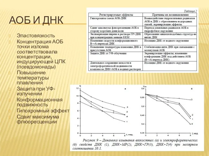 АОБ И ДНК Эластовязкость Концентрация АОБ точки излома соответствовала концентрации, индуцирующей ЦПК