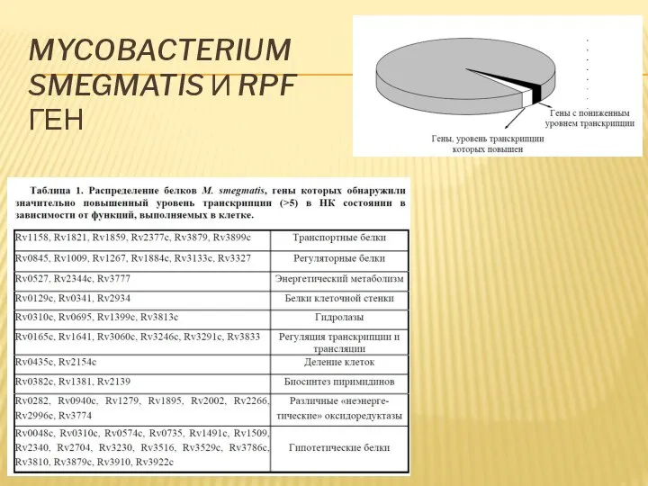 MYCOBACTERIUM SMEGMATIS И RPF ГЕН