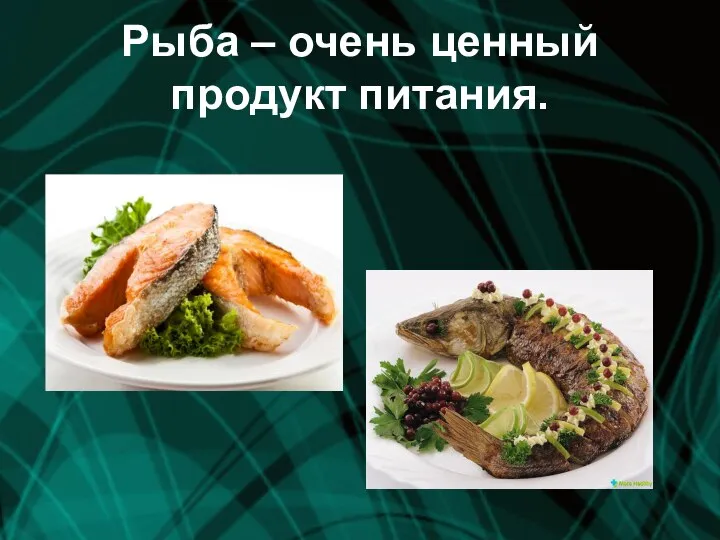 Рыба – очень ценный продукт питания.