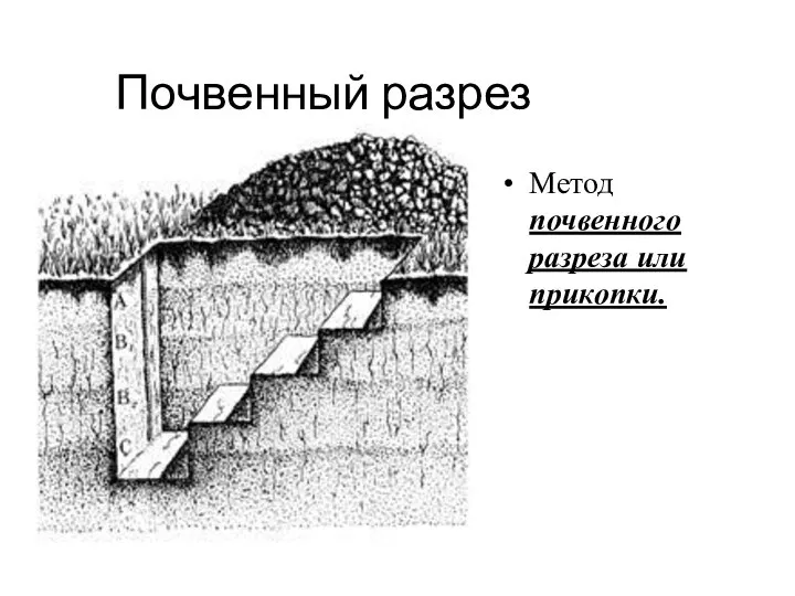 Почвенный разрез Метод почвенного разреза или прикопки.