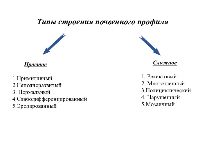 Типы строения почвенного профиля Простое 1.Примитивный 2.Неполноразвитый 3. Нормальный 4.Слабодифференцированный 5.Эродированный Сложное