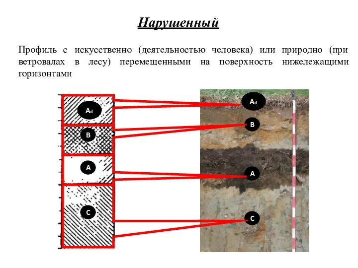 Ad B A C B Ad C A Профиль с искусственно (деятельностью