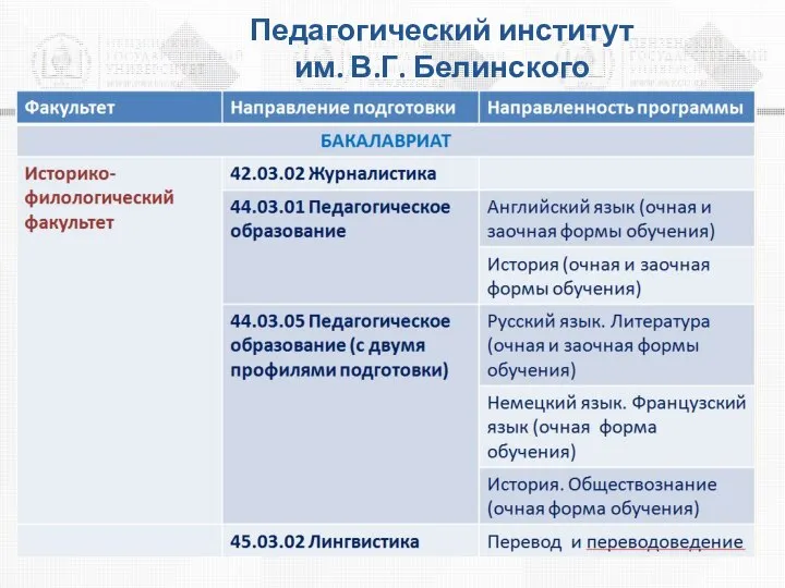 Педагогический институт им. В.Г. Белинского