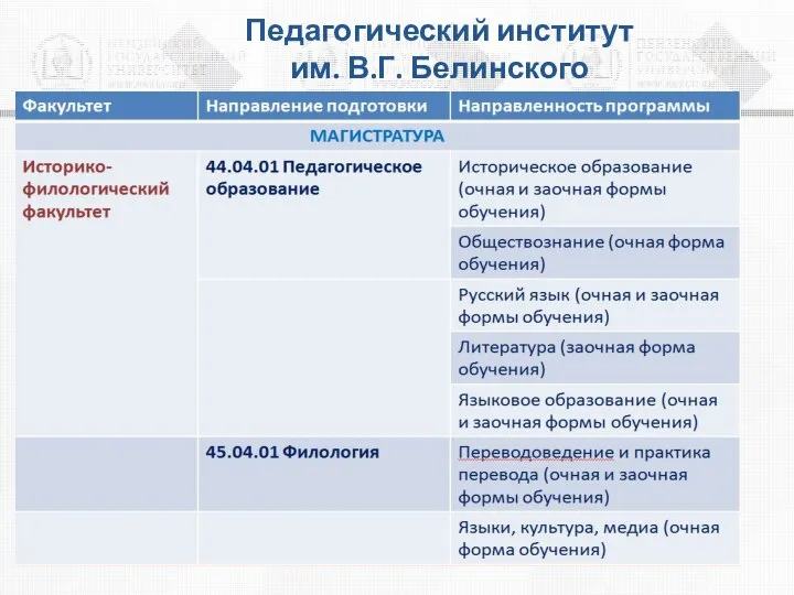 Педагогический институт им. В.Г. Белинского