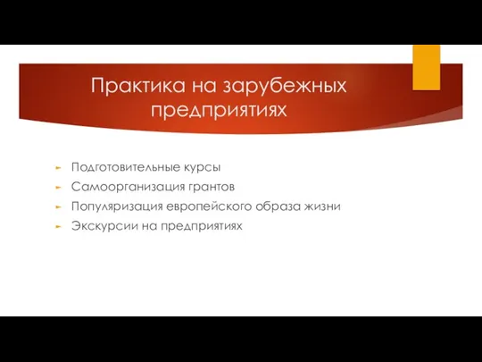 Практика на зарубежных предприятиях Подготовительные курсы Самоорганизация грантов Популяризация европейского образа жизни Экскурсии на предприятиях