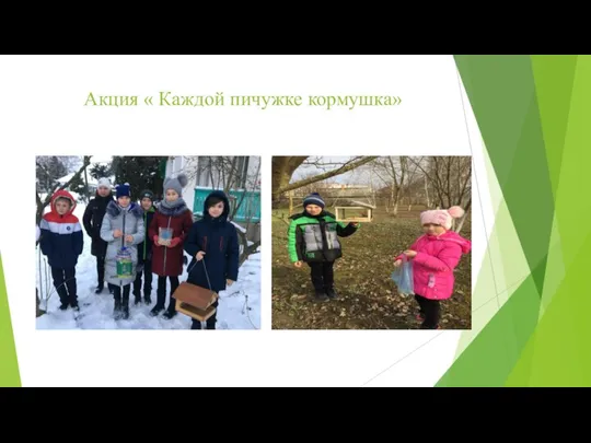 Акция « Каждой пичужке кормушка»