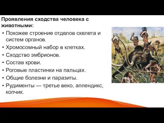 Проявления сходства человека с животными: Похожее строение отделов скелета и систем органов.