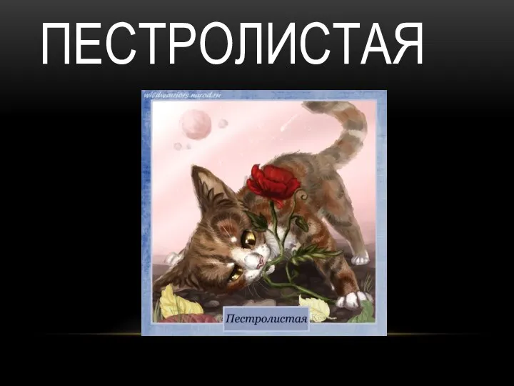 ПЕСТРОЛИСТАЯ