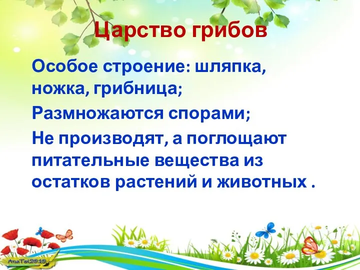 Царство грибов Особое строение: шляпка, ножка, грибница; Размножаются спорами; Не производят, а