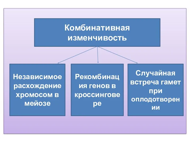 Комбинативная изменчивость Независимое расхождение хромосом в мейозе Случайная встреча гамет при оплодотворении Рекомбинация генов в кроссинговере