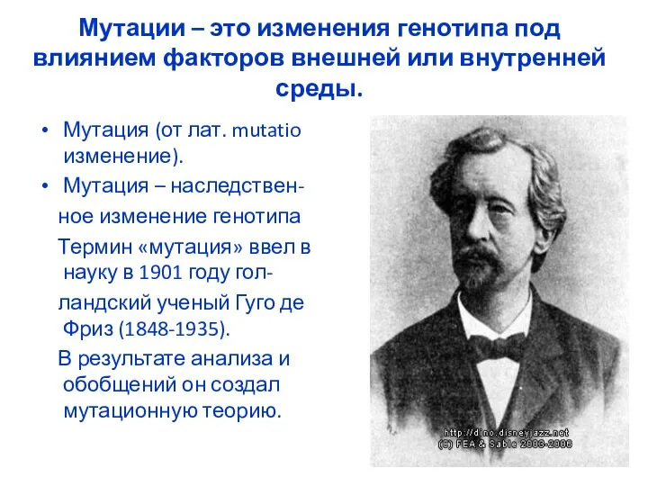 Мутации – это изменения генотипа под влиянием факторов внешней или внутренней среды.