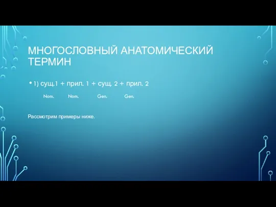 МНОГОСЛОВНЫЙ АНАТОМИЧЕСКИЙ ТЕРМИН 1) сущ.1 + прил. 1 + сущ. 2 +