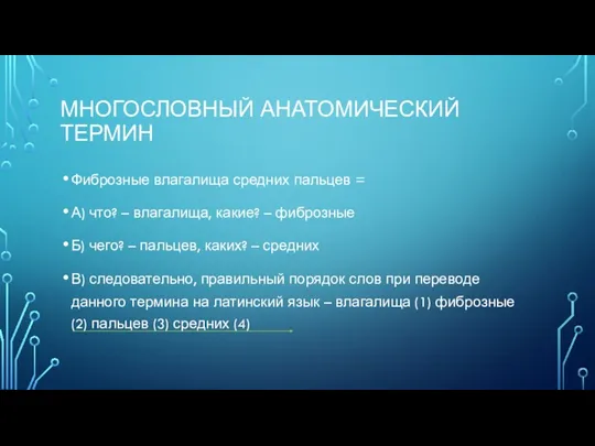 МНОГОСЛОВНЫЙ АНАТОМИЧЕСКИЙ ТЕРМИН Фиброзные влагалища средних пальцев = А) что? – влагалища,