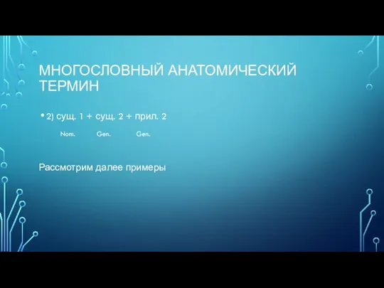 МНОГОСЛОВНЫЙ АНАТОМИЧЕСКИЙ ТЕРМИН 2) сущ. 1 + сущ. 2 + прил. 2