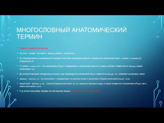 МНОГОСЛОВНЫЙ АНАТОМИЧЕСКИЙ ТЕРМИН Сумки ягодичных мышц = А) что? – сумки /