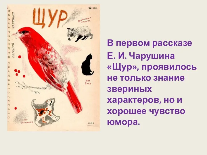 В первом рассказе Е. И. Чарушина «Щур», проявилось не только знание звериных