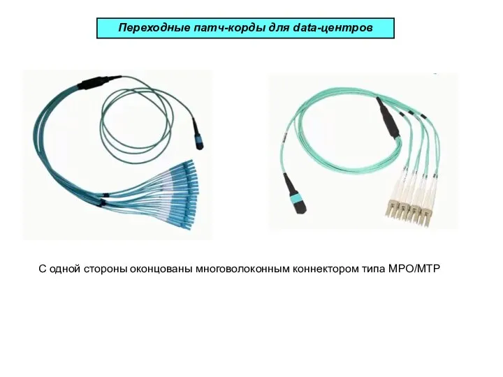 Переходные патч-корды для data-центров С одной стороны оконцованы многоволоконным коннектором типа MPO/MTP