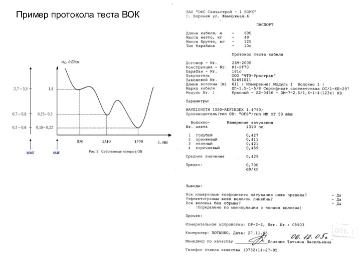 Пример протокола теста ВОК