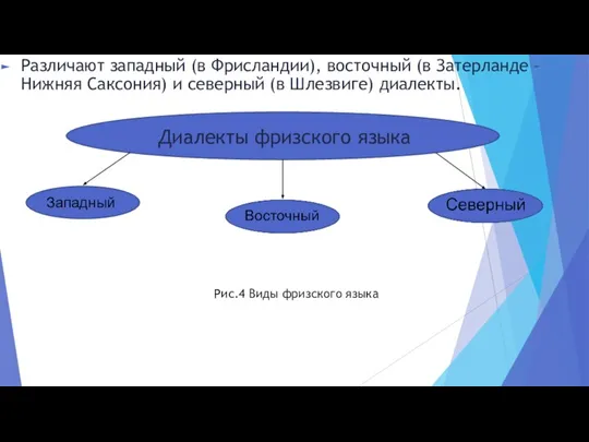 Различают западный (в Фрисландии), восточный (в Затерланде – Нижняя Саксония) и северный