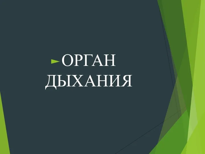 ОРГАН ДЫХАНИЯ