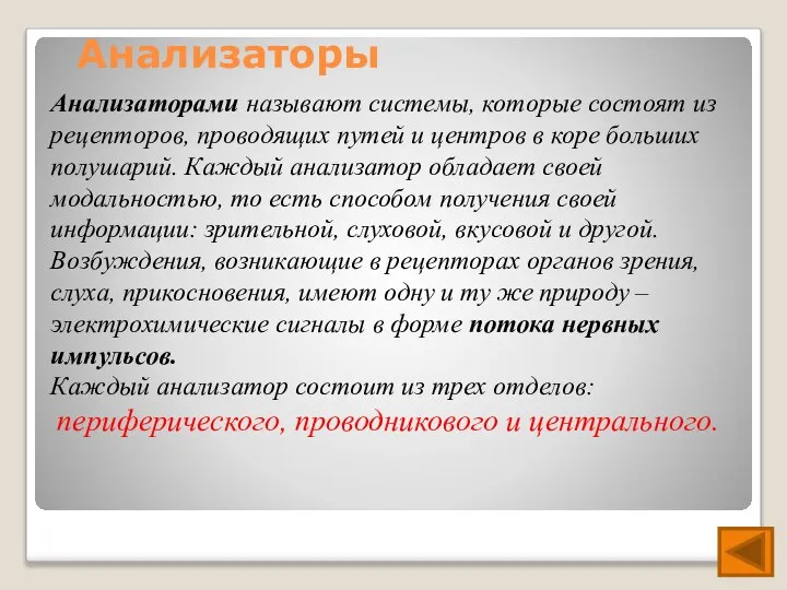 Анализаторы Анализаторами называют системы, которые состоят из рецепторов, проводящих путей и центров