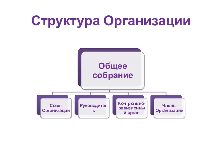 Структура Организации