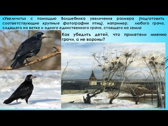 Как убедить детей, что прилетели именно грачи, а не вороны? «Увеличить» с